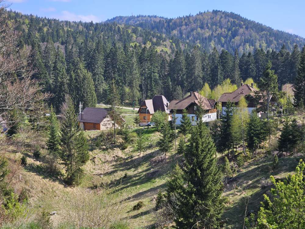 /2024/04/tag-9-und-10-naturpark-tara-mit-schwarzwald-vibes-national_park/mitrovac_hu_e6659ba45bc99b0d.jpg